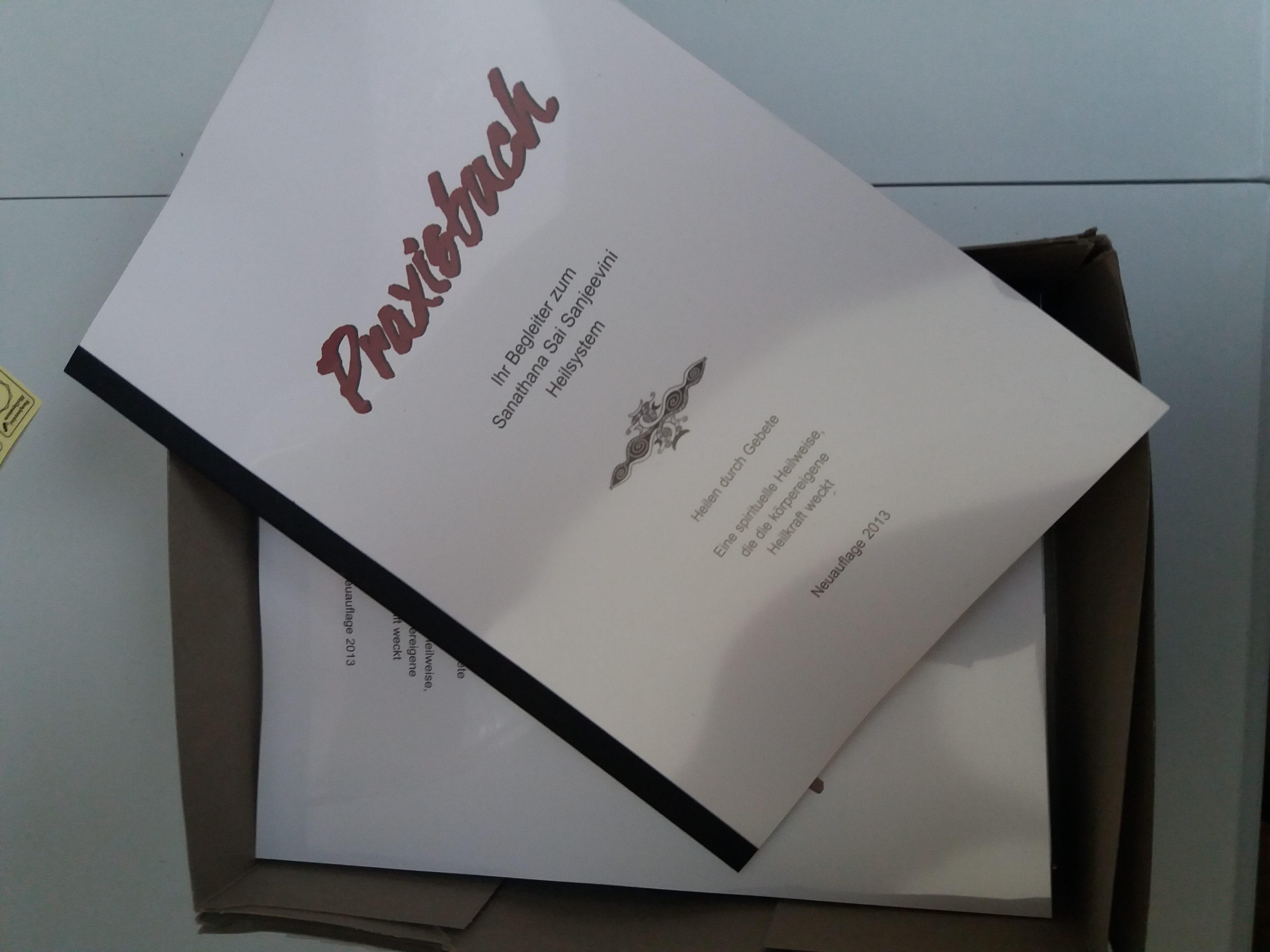 20181218_112416o04IZTeivfi1q Sanjeevini Praxisbuch Auflage 2013 von Helga Hoffmann - wieder lieferbar