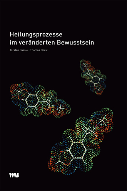 9783861352051 Heilungsprozesse im veränderten Bewusstsein, Torsten Passie & Thomas Dürst